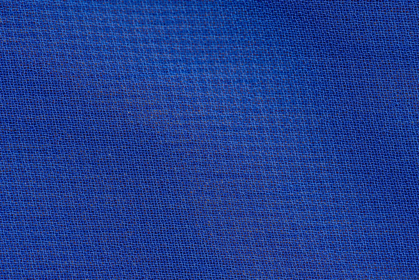 Close-up of carpet fibres showing pet odour damage pattern